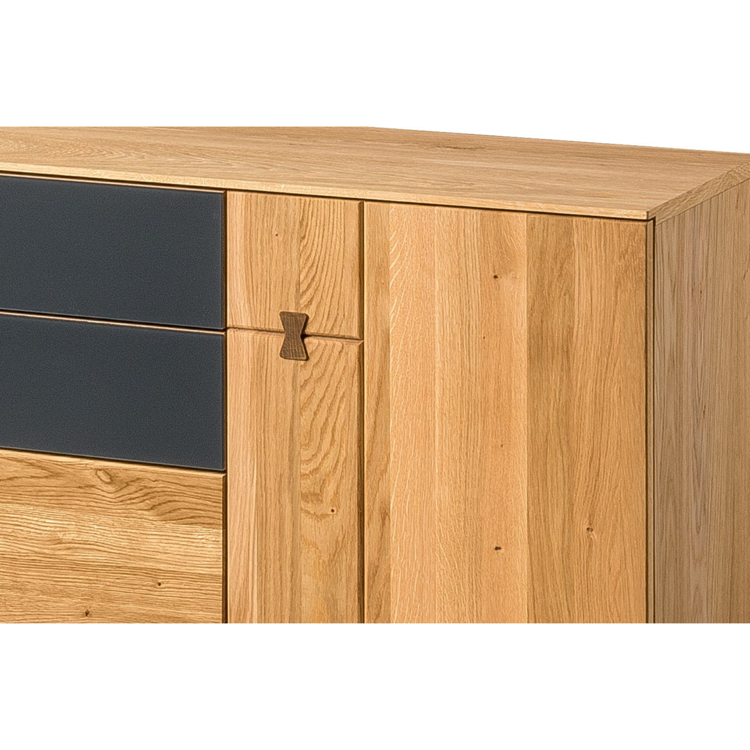 TV-Element MINURA 25 aus Eiche, 195×40×62 cm | VESKOR